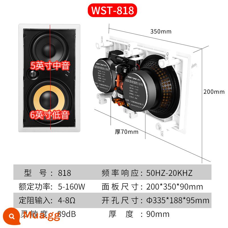 Loa trần Westin âm trần gia đình loa âm trần nhúng nhạc nền phát sóng cửa hàng trong nhà - 818