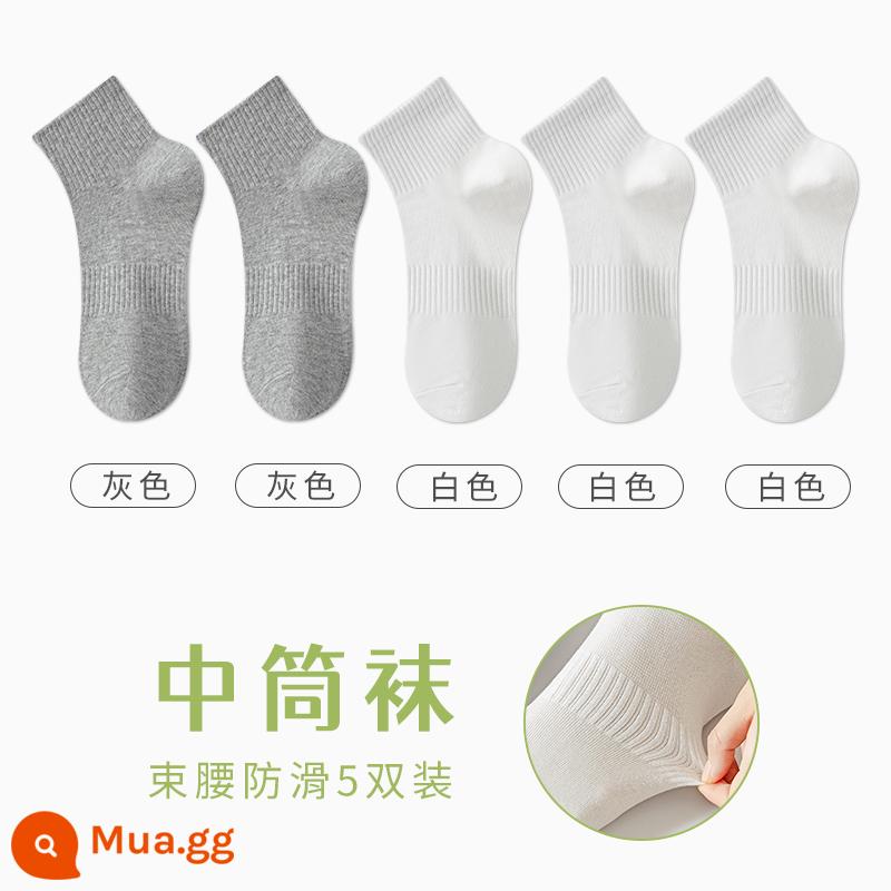 Tất Zhuji Vớ Nữ Giữa Ống Mỏng Mùa Hè Chất Liệu Cotton Nguyên Chất Khử Mùi Và Thấm Hút Mồ Hôi Xuân Thu Tất Trắng Không Xương Sau Sinh - "Gói 5 đôi" 2 đôi xám + 3 đôi trắng