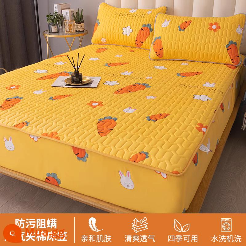 Ga trải giường chần bông trang bị đơn mảnh 2023 mới hợp thời trang cotton không nguyên chất bao gồm ga trải giường túi đệm giường bộ ga trải giường chống bụi - Happy Carrot [Cố định chống trượt toàn diện bằng chăn bông 360°]