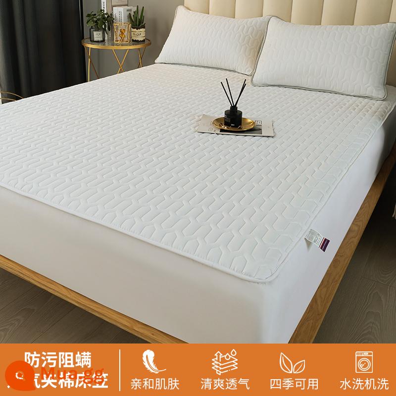 Ga trải giường chần bông trang bị đơn mảnh 2023 mới hợp thời trang cotton không nguyên chất bao gồm ga trải giường túi đệm giường bộ ga trải giường chống bụi - Trắng ngọc trai [Đệm cố định chống trượt toàn diện 360°]