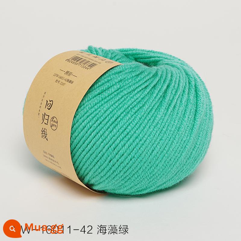 Dòng hồi quy dấu vết trở lại sợi len nguyên chất Merino nguyên chất dày vừa handmade tự làm que kim đan len khăn len bóng - Số 42-Rong Biển Xanh