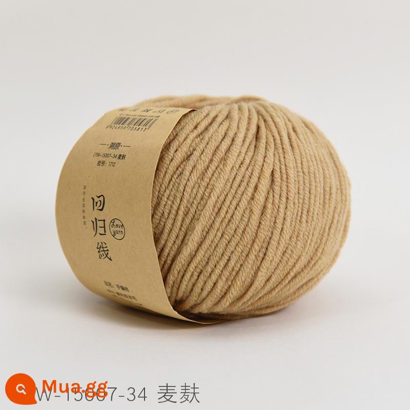 Dòng hồi quy dấu vết trở lại sợi len nguyên chất Merino nguyên chất dày vừa handmade tự làm que kim đan len khăn len bóng - Số 34-Cám lúa mì