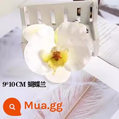 Hộp đóng gói bánh cupcake ngày phụ nữ Hộp đóng gói Thẻ chèn trang trí ngày của Nữ hoàng hạnh phúc - Màu xám đen