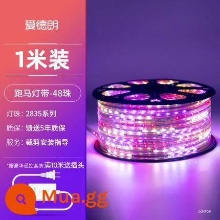 220 V Đèn LED Dải Nhà Siêu Sáng COB Bầu Không Khí Phòng Khách 3 Màu Đường Đèn Ngoài Trời Chống Thấm Nước RGB Hầu Tước Đèn - Gói 1 mét [mô hình đua ngựa sáu màu] 2835-48 hạt, điều chỉnh độ sáng bằng nút bấm, phích cắm miễn phí cho 10 mét trở lên