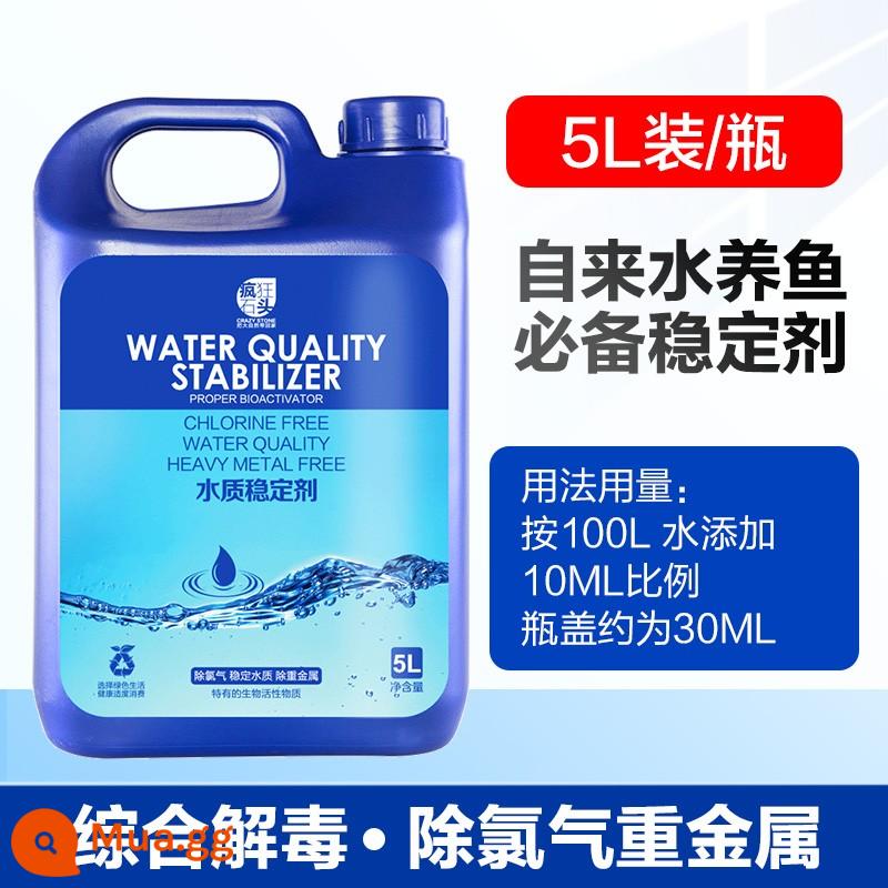 Ổn định chất lượng nước bể cá đặc biệt khử clo đại lý hồ cá nước máy khử clo ổn định nước nuôi cá nguồn cung cấp máy lọc - Chất ổn định chất lượng nước 5L/thùng