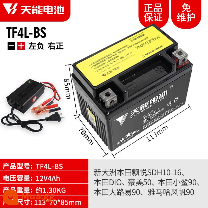 Pin xe máy Tianneng 12V5AH7AH9AH Pin dung lượng lớn Pin phổ thông Yamaha - 12V4AH-TF4L (bao gồm bộ sạc)