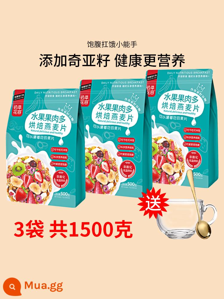 Bột yến mạch, trái cây, các loại hạt, sữa chua, bột yến mạch, bữa sáng dinh dưỡng, đồ uống pha sẵn, ăn khô, sữa chua ngâm, thay thế bữa ăn, ăn no bụng - Ngũ cốc trái cây hạt Chia 3 túi [tổng 1500g] cốc sữa + thìa thép