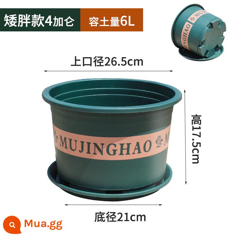 Chậu gallon dày thế hệ thứ hai mới cho ban công ngoài trời hộ gia đình chậu hoa nho vàng hồng chậu hoa nhựa in lớn - M27 (đường kính 26.5CM) 5 chậu