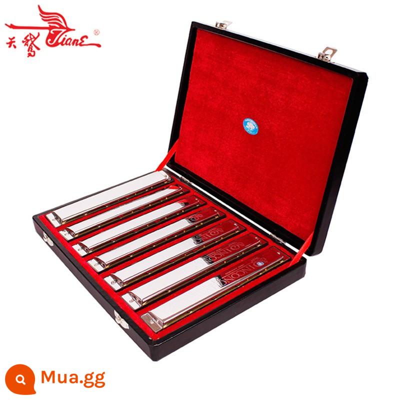 Bộ kèn harmonica đa âm 24 lỗ thiên nga chơi chuyên nghiệp 7 giai điệu/12 giai điệu ABCDEFGA#C#D#F#G#tune hộp quà tặng - Bộ 7 tông màu [tùy chọn + túi đàn]