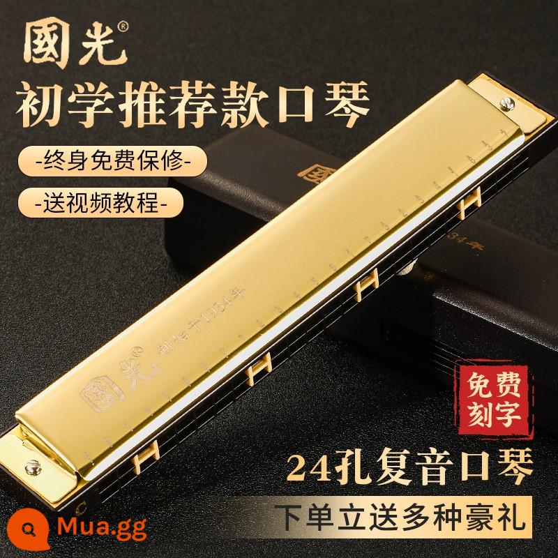 Shanghai Guoguang harmonica 24 lỗ 28 lỗ đa âm phím C giọng người mới bắt đầu học sinh người lớn trẻ em nhập cảnh cấp hiệu suất - Vàng đa âm 24 lỗ + trọn bộ quà tặng