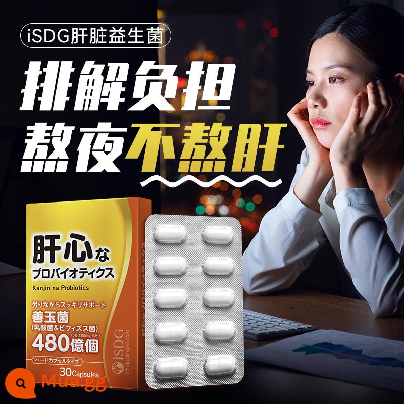 ISDG B420 men vi sinh quản lý cân nặng đường tiêu hóa nam và nữ trưởng thành 30 viên/hộp - [Chủng được cấp bằng sáng chế để bảo vệ gan] Probiotic gan