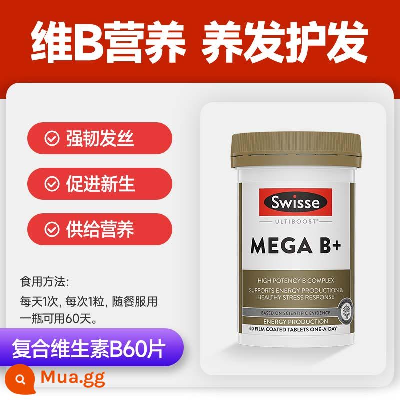 Vitamin B7 b6 viên uống chống rụng tóc dưỡng tóc dưỡng tóc biotin biotin h điều trị thực phẩm bổ sung tóc trắng tóc đen - [Có cho nam và nữ] Biotin/vitamin B7 + vitamin B6 ngăn ngừa rụng tóc và giảm tóc bạc