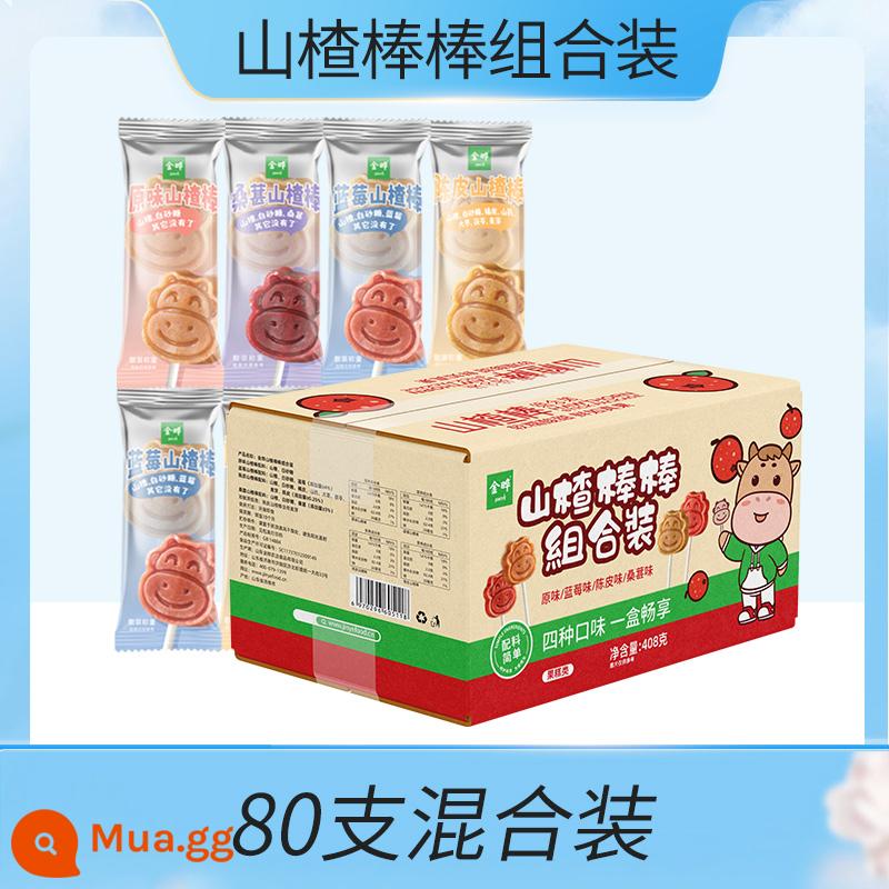 Jinye Hawthorn Lollipop Không Thêm Chất Bảo Quản Snack Táo Gai Cho Trẻ Em Vỏ Cam Dâu Tằm Việt Quất 408g - 2 cái hộp