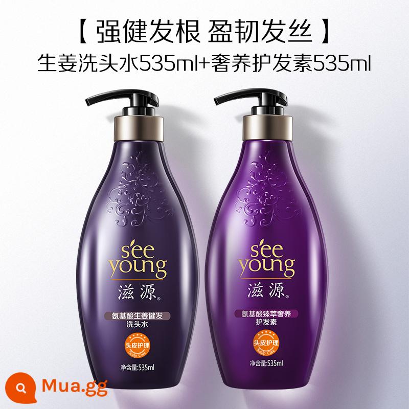 Ziyuan Amino Acid Ginger Dầu Gội, Kiểm Soát Dầu, Trị Gàu, Mịn Màng Và Nuôi Dưỡng, Không Silicon Flagship Store Chính Hãng - [Rễ chắc khỏe và tóc khỏe] Dầu gội Gừng 535mL + Dầu xả sang trọng 535mL