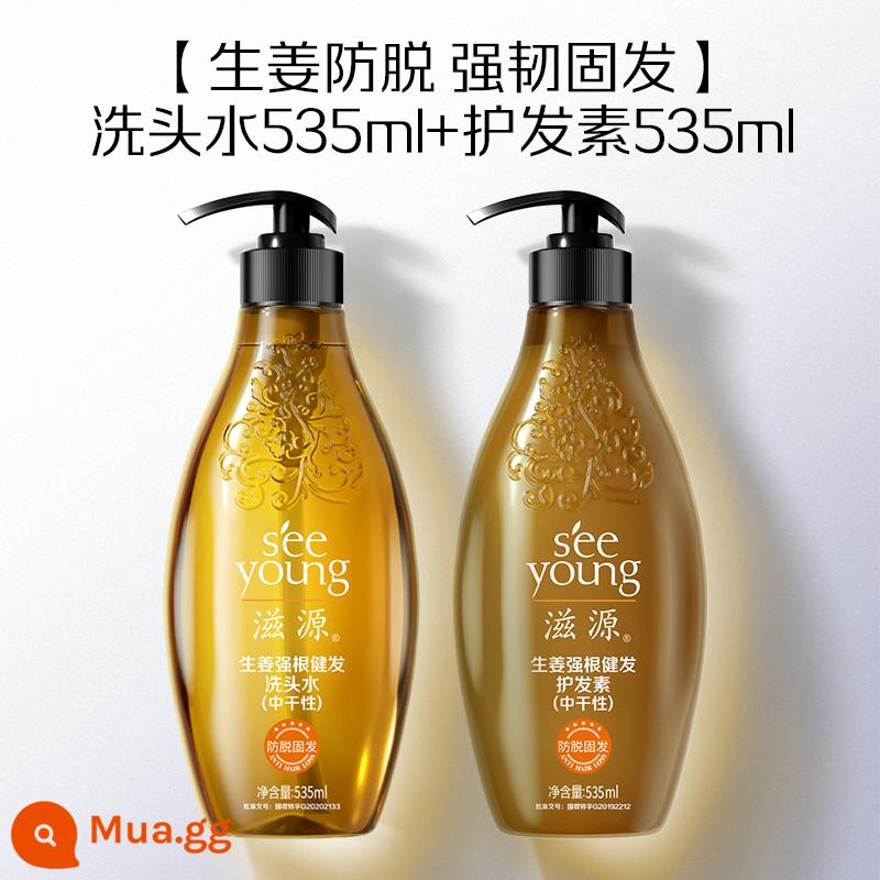 Ziyuan Ginger Dầu Gội Chống Rụng Tóc Bộ Kiểm Soát Dầu Fluffy Silicone Oil Free Dầu Gội Chính Hãng Chính Hãng - [Chống rụng tóc khô vừa] Gội 535mL + Bảo vệ 535mL