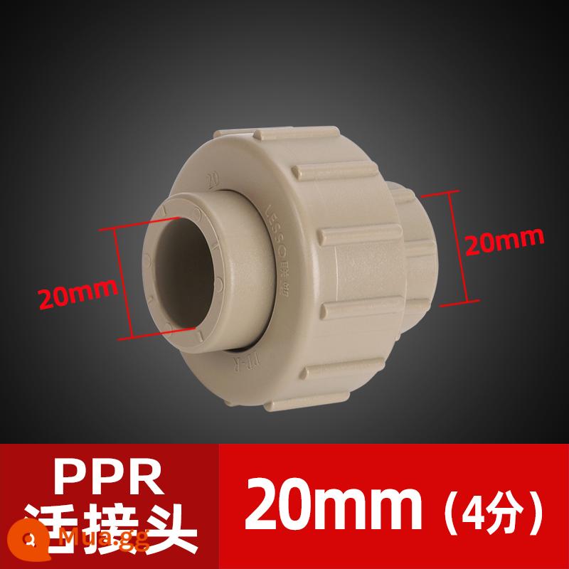 Phụ kiện đường ống nước Liansu PPR Daquan nóng chảy 4 điểm 20 6 điểm 25 phụ kiện đường ống khớp nối hoạt động dây bên ngoài dây bên trong trực tiếp - Khớp di động Liansu 20 [4 điểm]