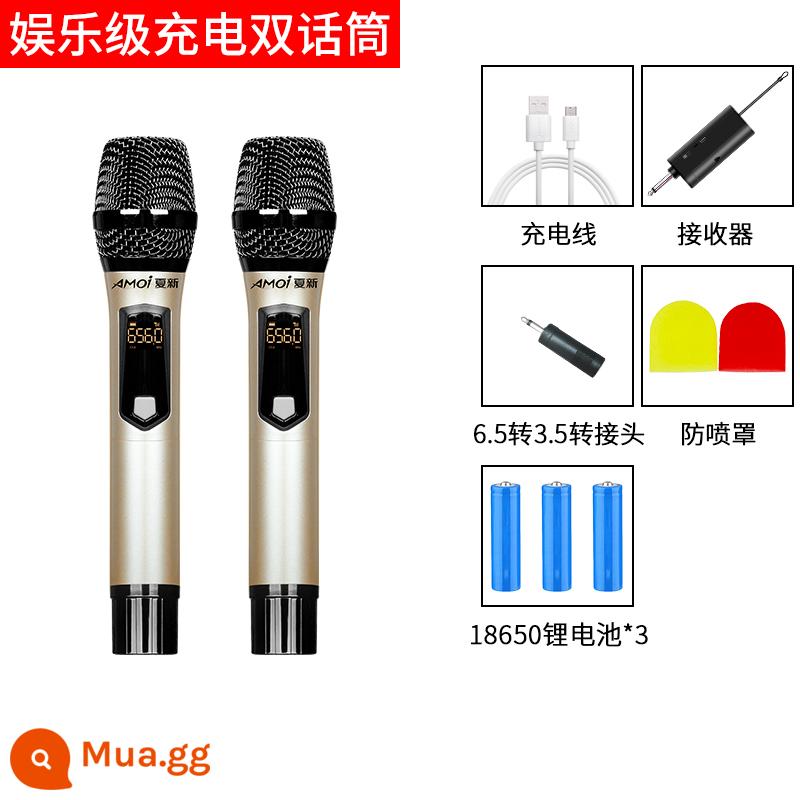 Xiaxin Hội nghị micrô không dây Universal kéo hai bộ sạc toàn cầu KTV phát sóng trực tiếp Micrô hiệu suất sân khấu đặc biệt - Micro kép có thể sạc lại cấp độ giải trí