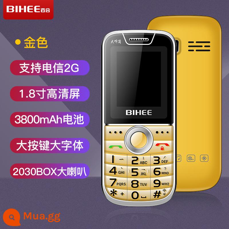 Lily BIHEEC20A Full Netcom Mobile Viễn Thông Phiên Bản Điện Thoại Người Già 4G Máy Thẳng Người Già Chế Độ Chờ Siêu Lâu A30 - Phiên bản Golden Telecom (Phiên bản 2G cổ điển)