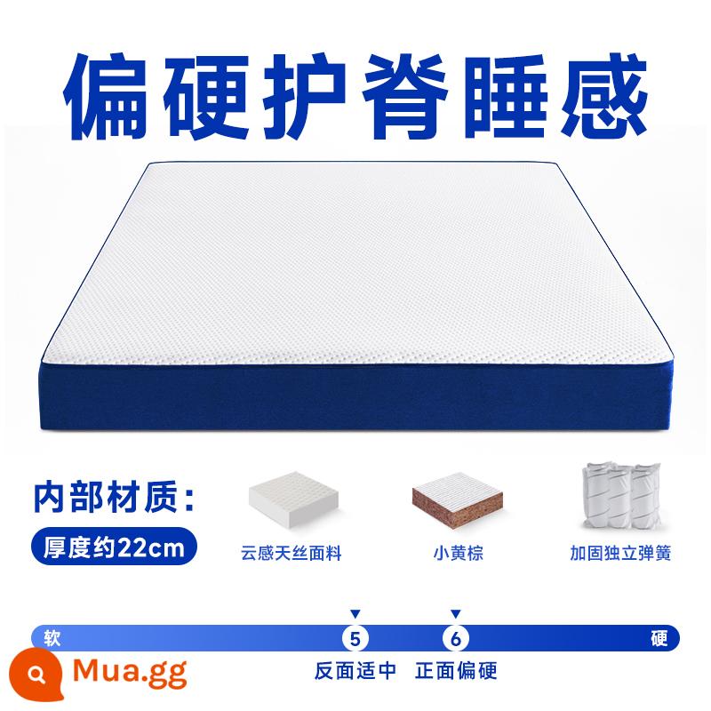 Seahorse Romance Super Blue Box Memory Foam Box Nệm Simmons Cao Su Nén Mềm Lò Xo Khách Sạn Năm Sao - Bảo vệ cột sống cứng (dày 22cm)