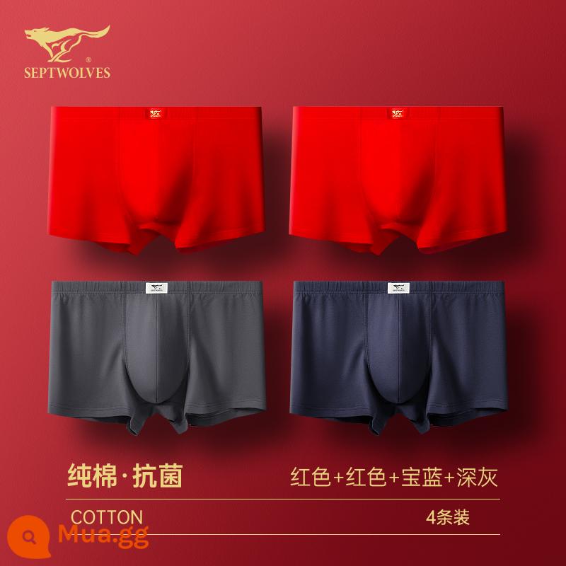 Seven Wolf Men Đồ lót tinh khiết Binjun Boys Big Red Flat -angle Tridruple Short Quần đầu là Quà tặng đám cưới Thỏ - [Kết hợp hỗn hợp màu đỏ kháng khuẩn cotton nguyên chất] Đỏ đậm * 2 + xanh sapphire + xám đậm