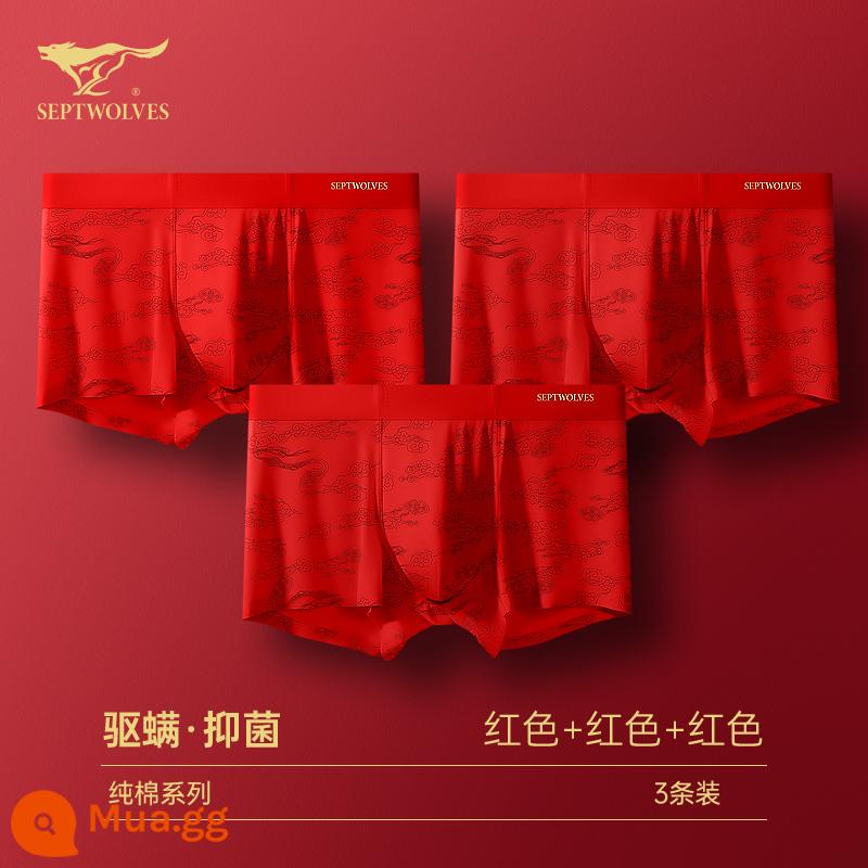 Seven Wolf Men Đồ lót tinh khiết Binjun Boys Big Red Flat -angle Tridruple Short Quần đầu là Quà tặng đám cưới Thỏ - [Phong cách Xiangyun·Chống mạt và kháng khuẩn·Không dấu vết] Màu đỏ lớn x3