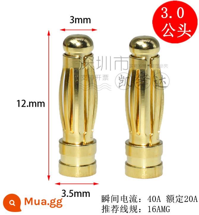 Mô hình máy bay bằng đồng nguyên chất mạ vàng đầu chuối 2.0/3.0/4.0/5.0/6.0/8.0mm động cơ điện tử thống đốc phích cắm đặc biệt - Đầu đực 3.0mm 10 chiếc