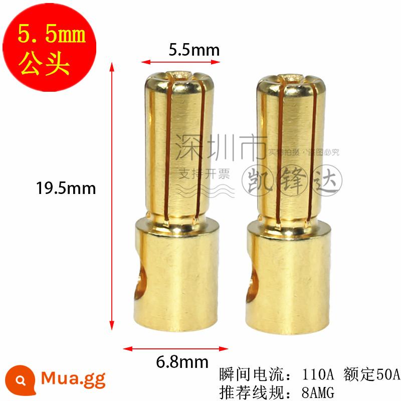 Mô hình máy bay bằng đồng nguyên chất mạ vàng đầu chuối 2.0/3.0/4.0/5.0/6.0/8.0mm động cơ điện tử thống đốc phích cắm đặc biệt - 10 đầu đực 5.5mm