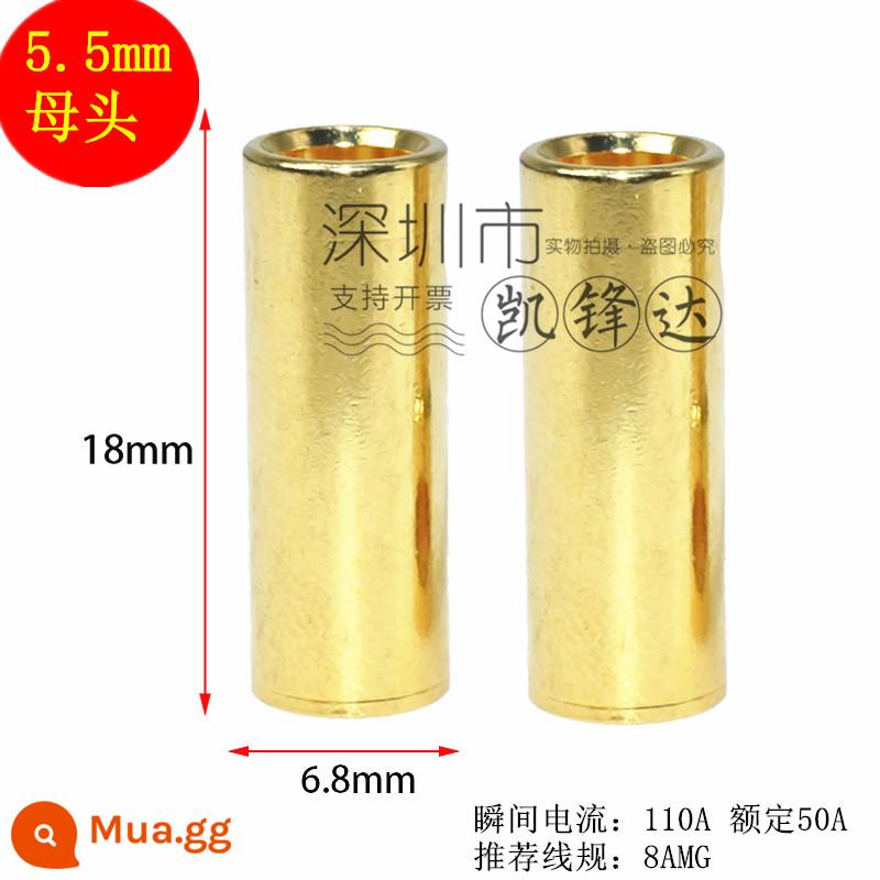 Mô hình máy bay bằng đồng nguyên chất mạ vàng đầu chuối 2.0/3.0/4.0/5.0/6.0/8.0mm động cơ điện tử thống đốc phích cắm đặc biệt - Đầu nối cái 5.5mm 10 cái