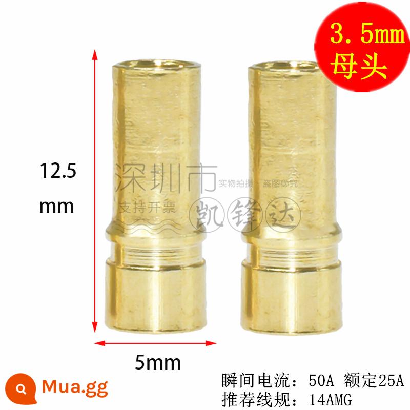 Mô hình máy bay bằng đồng nguyên chất mạ vàng đầu chuối 2.0/3.0/4.0/5.0/6.0/8.0mm động cơ điện tử thống đốc phích cắm đặc biệt - Giắc cắm 3.5mm cái 10 cái