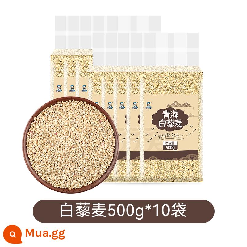 Zou Youcai gạo quinoa trắng Qinghai ngũ cốc hạng nhất ngũ cốc ngũ cốc ngũ cốc ăn liền cháo thay thế bữa ăn ngũ cốc gạo quinoa Limai - [Đóng gói chân không] Quinoa trắng 500gX10 túi