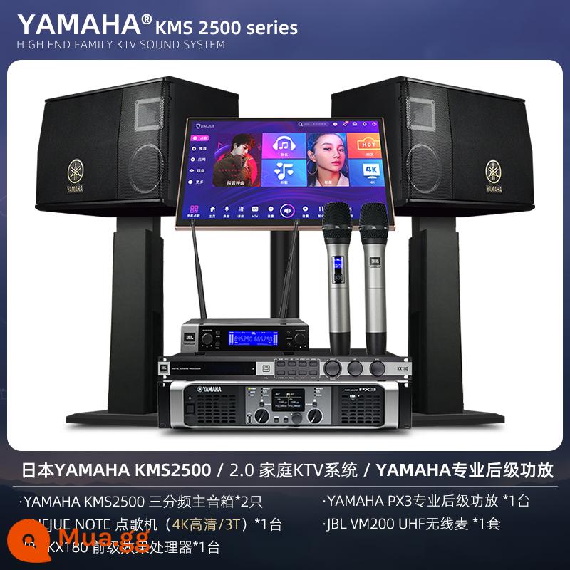 Bộ âm thanh Yamaha/Yamaha family KTV trọn bộ dàn hát karaoke gia đình thiết bị dàn karaoke gia đình - Hệ thống KTV gia đình YAMAHA KMS2500 / 2.0 Nhật Bản / Bộ khuếch đại công suất chuyên nghiệp YAMAHA