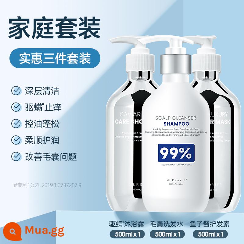 Dầu gội nang tóc loại bỏ ve da đầu làm sạch dầu kiểm soát gàu chống ngứa dầu gội thương hiệu dương chính thức dành cho nam và nữ - [Bộ làm sạch và chăm sóc] Dầu gội nang tóc 500ml + Dầu xả 500ml + Sữa tắm 500ml