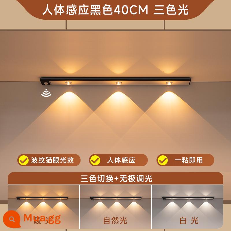 đèn led có thể sạc lại đèn cảm ứng cơ thể con người với tủ tủ quần áo tủ giày tủ rượu ngọn đồi nhỏ dải đèn dải đèn mắt mèo không dây - Toàn bộ nhôm đen-40cm-đèn ba màu (siêu mỏng + cảm biến + điều khiển ánh sáng + luôn sáng)