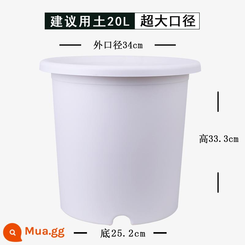 Nồi cực lớn 10 gallon hộ gia đình deepot chậu hoa nhựa tú cầu hoa hồng kiểm soát rễ nhựa núi xanh chậu cây - [Tối số 10] Trắng (1 chậu)