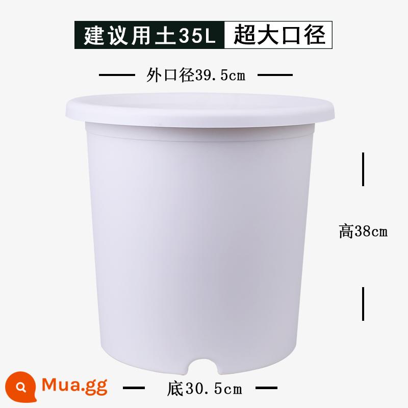 Nồi cực lớn 10 gallon hộ gia đình deepot chậu hoa nhựa tú cầu hoa hồng kiểm soát rễ nhựa núi xanh chậu cây - [Sâu số 12] Trắng (1 chậu)