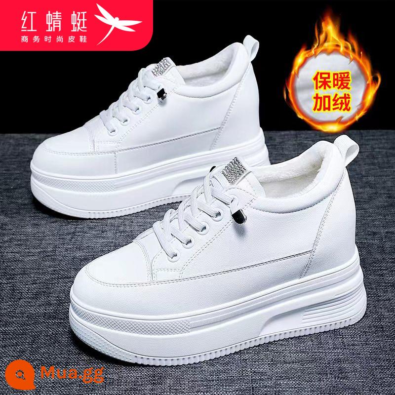 Chuồn Chuồn Đỏ Giày Trắng Nhỏ Giày Nữ Mùa Xuân Mới 2023 Phong Cách Hot Nhỏ Đáy Dày 10Cm Bên Trong Tăng Chiều Cao Xuân Thu - Trắng cộng nhung [10cm]