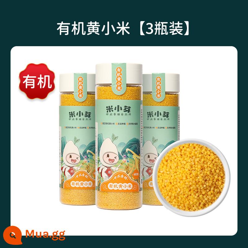 Cháo kê vàng hữu cơ Mi Xiaoya Aohan Ngũ cốc hỗn hợp bổ dưỡng 480g cho trẻ sơ sinh và trẻ nhỏ Công thức thức ăn không chủ yếu - Sa kê vàng hữu cơ Aohan * 3 hộp [Quê hương của kê trên thế giới]