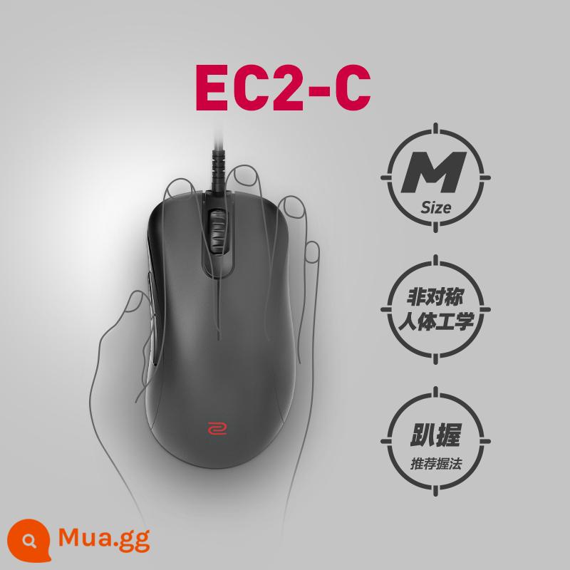 Chuột chơi game ZOWIE Zhuowei EC-C CSGO ăn gà chuột game chuột có dây EC1C EC2C EC3C - EC2-C (trung bình)