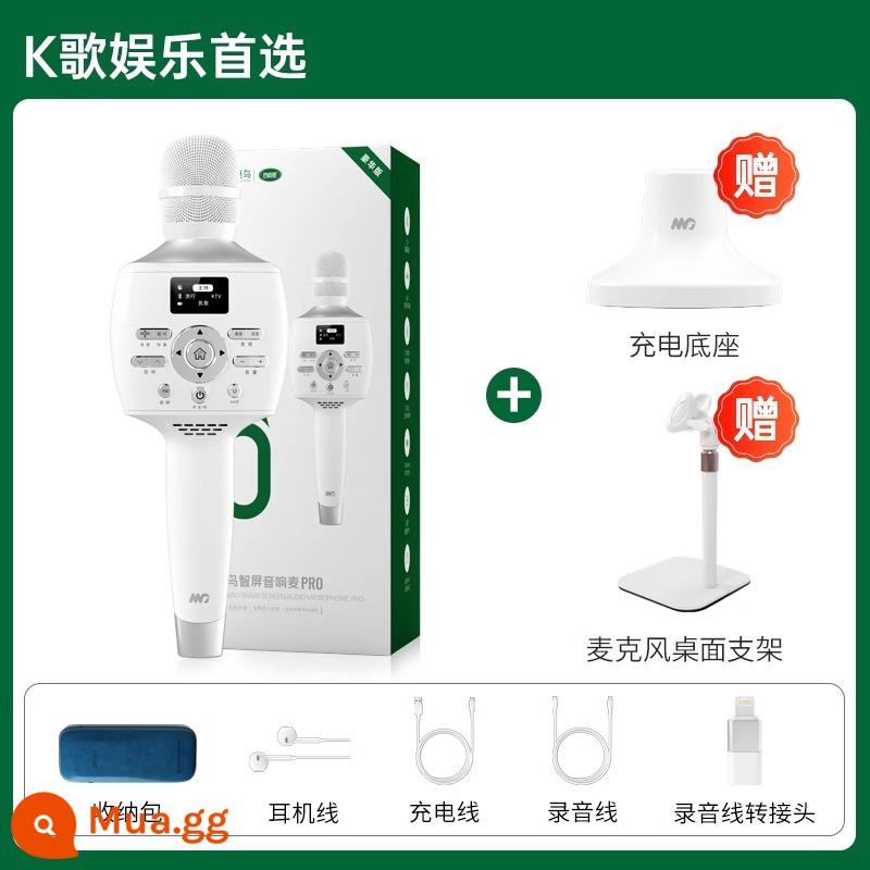 Charm chim micro âm thanh tích hợp micro PLUS bluetooth không dây quốc gia K hát live chuyên dụng ngoài trời gia đình ktv - Phiên bản PRO Deluxe + Đế sạc + Quà tặng sang trọng