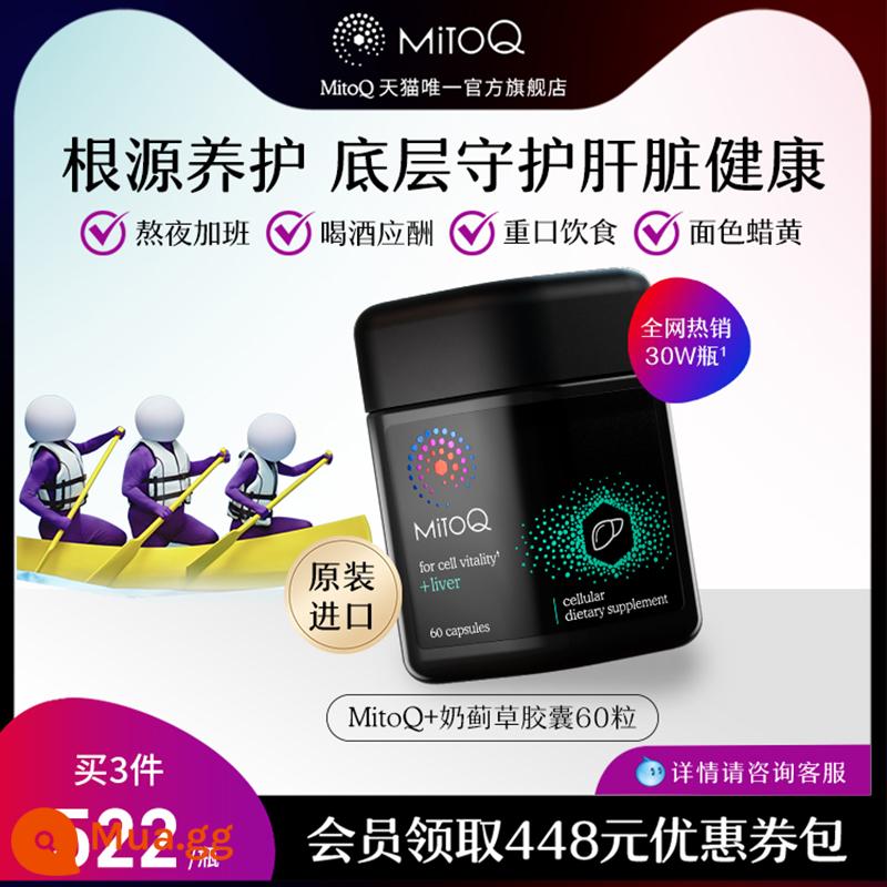 MitoQ viên nang cây kế sữa nhập khẩu thức khuya nôn nao bảo trì thường trực 60 cây kế sữa sản phẩm sức khỏe viên gan - Cây kế sữa 60 viên