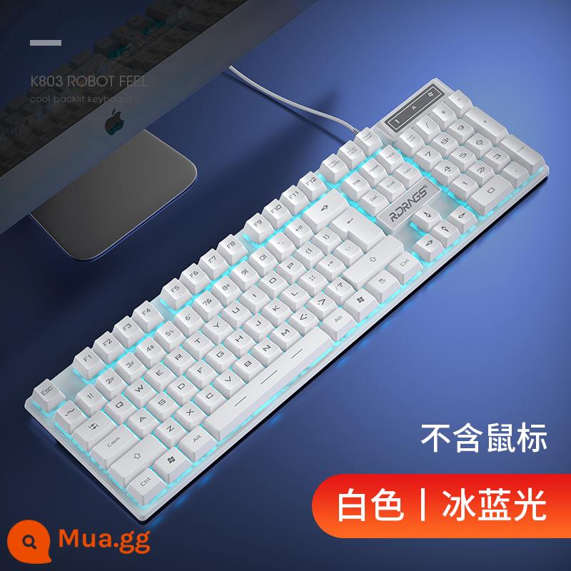 Phím Cơ Bộ Chuột Điện Thi Game Chuyên Dụng Tắt Tiếng Máy Tính Xách Tay Bàn Phím Có Dây Văn Phòng Xanh Trục Trà Trục - Bàn phím đơn White-Blu-ray của Snow Mountain