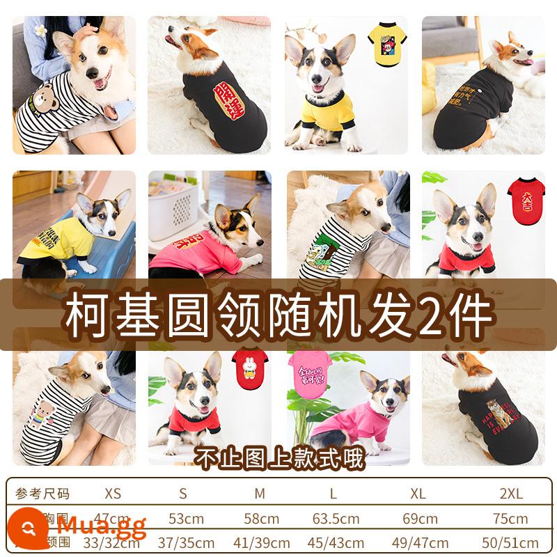 Corgi Quần Áo Cho Chó Quần Áo Mùa Đông Quần Áo Thu Đông Thu Đông Mỏng Shiba Inu Dachshund Thú Cưng Vừa Chó Shiba Inu Thu Đông - 2 chiếc áo nỉ sẽ được gửi ngẫu nhiên [kiểu phúc lợi]