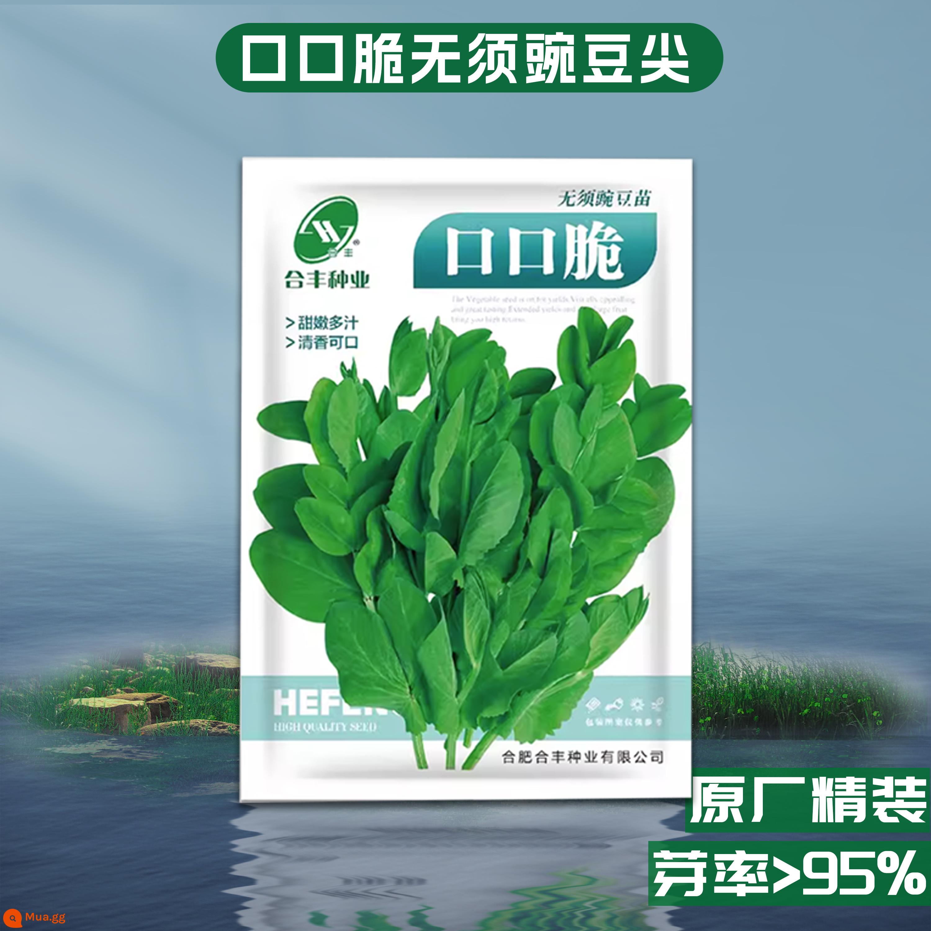 Crystal Ice Seeds Ban công Hạt giống rau trồng trong chậu Bộ sưu tập hoàn chỉnh Cây giống cỏ băng bốn mùa để trồng Hạt giống rau xanh vào mùa thu đông - Hạt đậu giòn 50g [thu hoạch nhiều lần, hương vị sảng khoái]