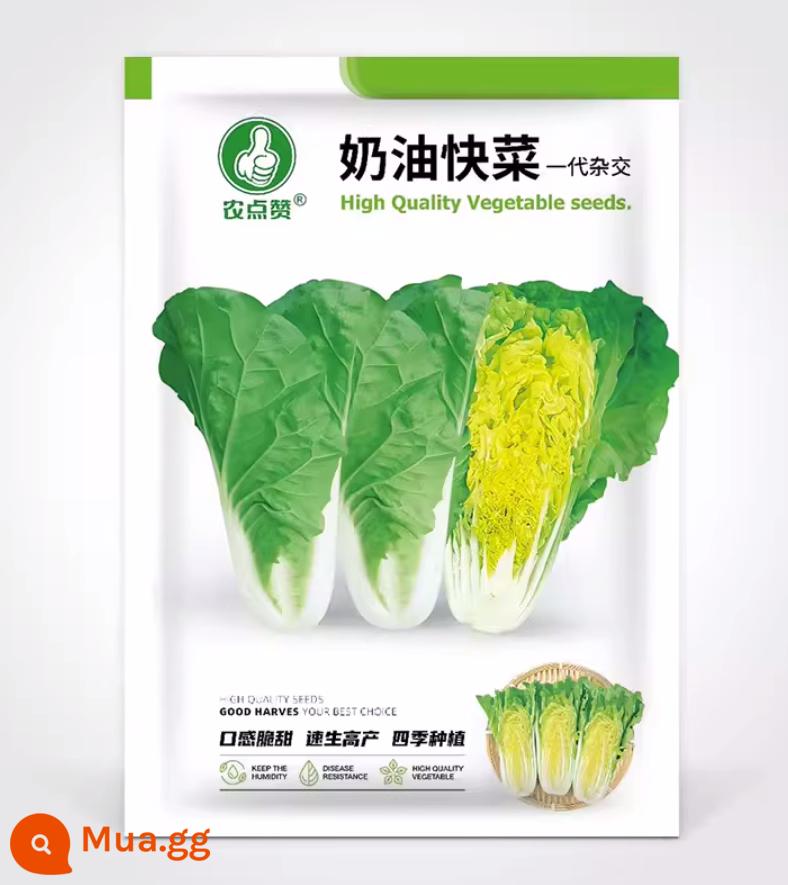 Crystal Ice Seeds Ban công Hạt giống rau trồng trong chậu Bộ sưu tập hoàn chỉnh Cây giống cỏ băng bốn mùa để trồng Hạt giống rau xanh vào mùa thu đông - Snack kem bốn mùa [phát triển nhanh, năng suất cao, vị giòn và ngọt]