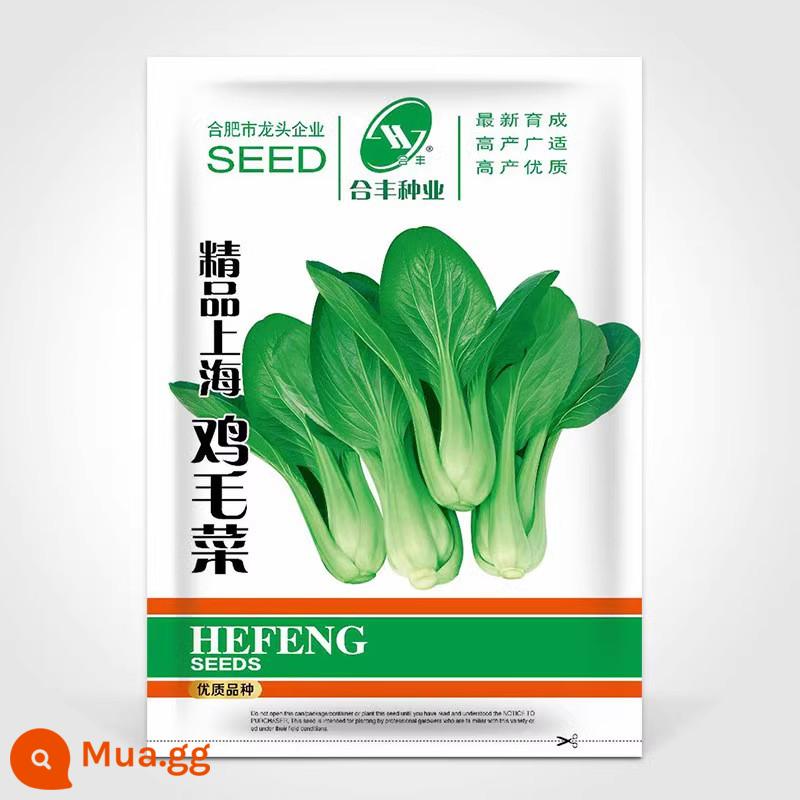 Crystal Ice Seeds Ban công Hạt giống rau trồng trong chậu Bộ sưu tập hoàn chỉnh Cây giống cỏ băng bốn mùa để trồng Hạt giống rau xanh vào mùa thu đông - 15g rau lông gà Thượng Hải chất lượng cao [thu hoạch trong 20 ngày, giòn, mềm và ngon]