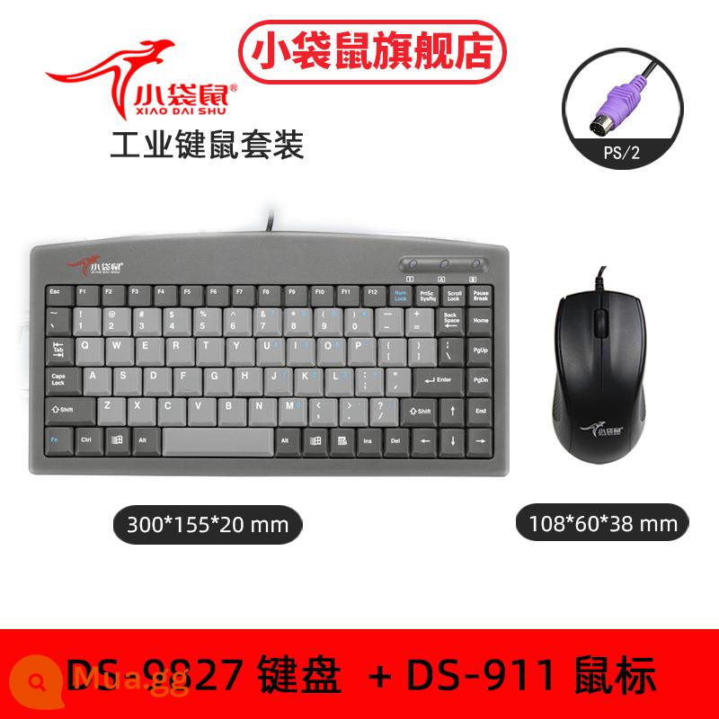 Wallaby DS9827 vòng nam châm chống tĩnh điện chống bụi bàn phím ps2 miệng tròn máy tính công nghiệp bàn phím có dây bàn phím USB - Bàn phím giao diện PS2 + chuột 911