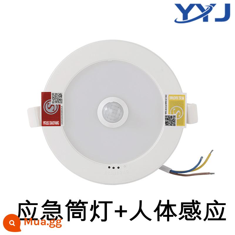 Đèn downlight khẩn cấp nhúng cảm ứng cơ thể con người điều khiển âm thanh và ánh sáng mất điện trần chiếu sáng dự phòng 3456 inch ống cứu hỏa khẩn cấp - 3 inch - cảm biến khẩn cấp + cơ thể người - ánh sáng trắng