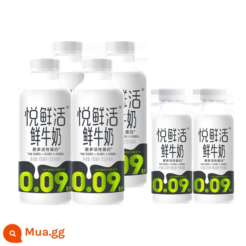 Sữa tươi Junle Baoyue 450ml*8 chai sữa tươi nguyên chất sữa dinh dưỡng học sinh bữa sáng sữa tươi nhiệt độ thấp - 450ml*4 chai+260ml*2 chai