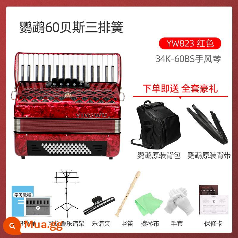 Vẹt đàn accordion nhạc cụ đích thực chơi đàn accordion mới bắt đầu 60/96/120 bass đàn accordion 3 hoặc 4 hàng - 60 bass 34 phím màu đỏ YW823+ gói quà tặng