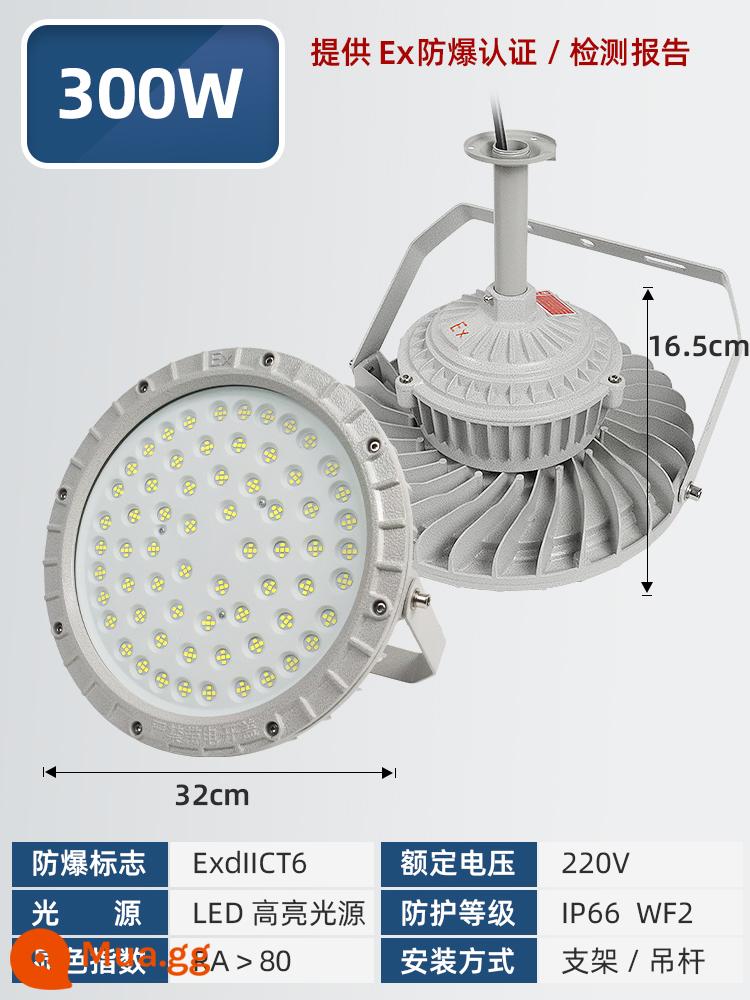 Đèn LED chống cháy nổ đèn công nghiệp và khai thác mỏ Đèn chiếu sáng nhà kho chống cháy nổ 100W đèn chống cháy nổ trạm xăng đèn chùm chụp đèn - Đèn tròn chống cháy nổ LED300W [Mẫu kỹ thuật cao cấp]